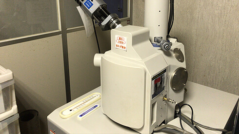Scanning electron microscope, energy dispersive X-ray analyzer